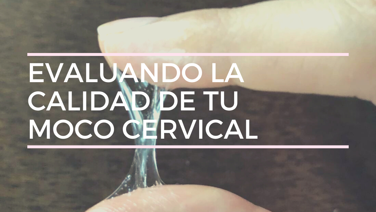 Evaluando La Calidad De Tu Moco Cervical